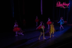 DSC08609