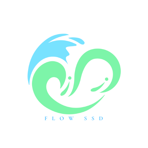 Body Flow Studio Logo